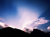 电话轰炸机网页版